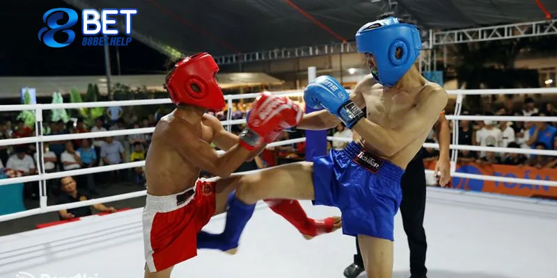 Giới thiệu về quy tắc chơi boxing 88bet